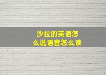 沙拉的英语怎么说语音怎么读