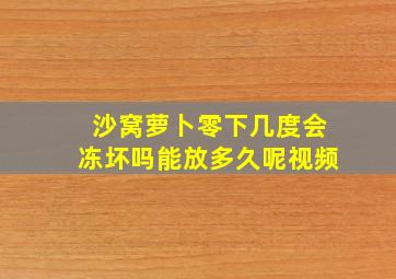 沙窝萝卜零下几度会冻坏吗能放多久呢视频