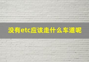 没有etc应该走什么车道呢