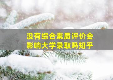 没有综合素质评价会影响大学录取吗知乎