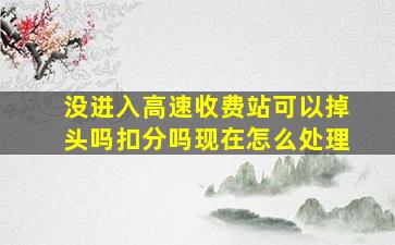 没进入高速收费站可以掉头吗扣分吗现在怎么处理