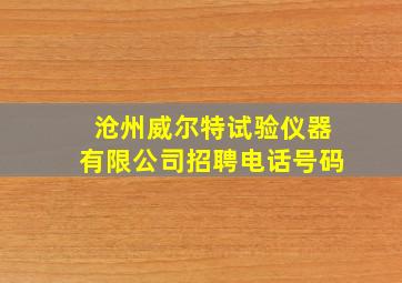 沧州威尔特试验仪器有限公司招聘电话号码