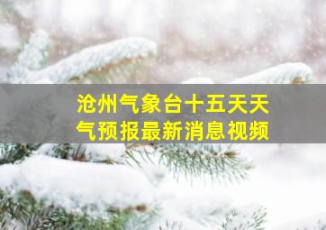 沧州气象台十五天天气预报最新消息视频