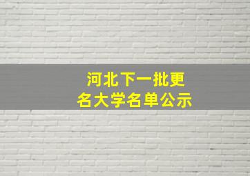 河北下一批更名大学名单公示