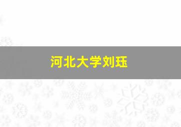 河北大学刘珏