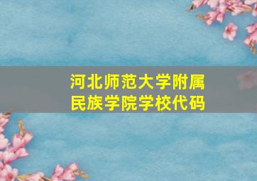 河北师范大学附属民族学院学校代码