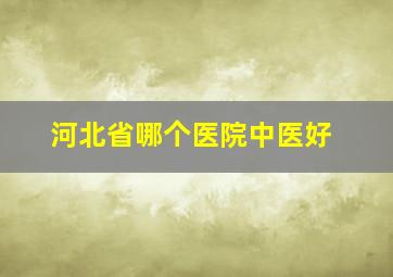 河北省哪个医院中医好