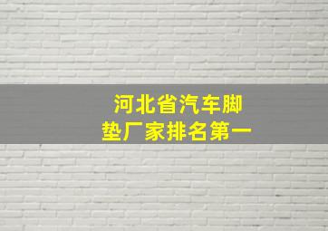 河北省汽车脚垫厂家排名第一