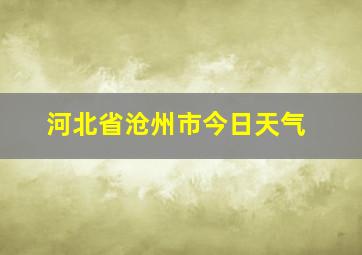 河北省沧州市今日天气