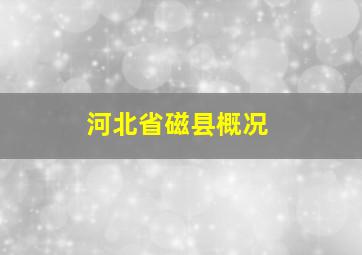 河北省磁县概况