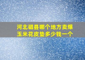 河北磁县哪个地方卖爆玉米花皮垫多少钱一个