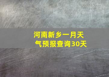 河南新乡一月天气预报查询30天