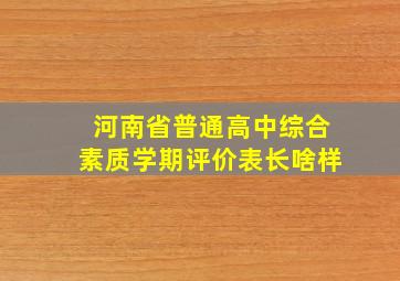 河南省普通高中综合素质学期评价表长啥样