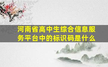 河南省高中生综合信息服务平台中的标识码是什么