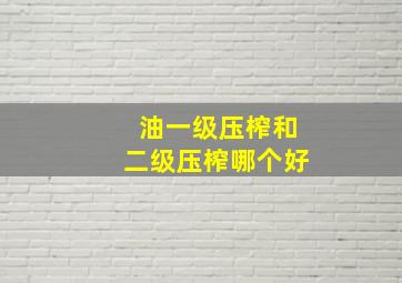 油一级压榨和二级压榨哪个好