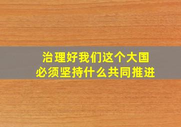 治理好我们这个大国必须坚持什么共同推进