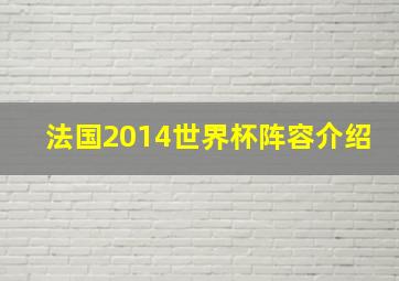 法国2014世界杯阵容介绍