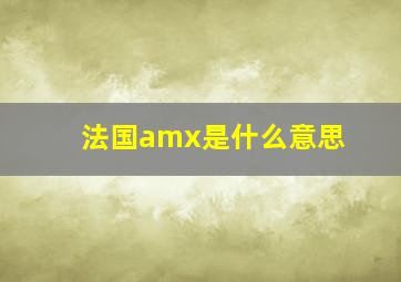 法国amx是什么意思