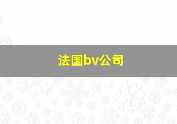 法国bv公司