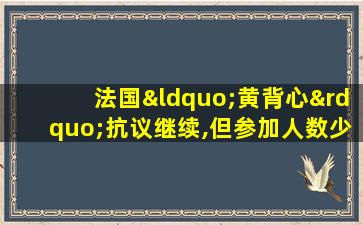 法国“黄背心”抗议继续,但参加人数少了近一半