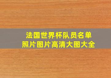 法国世界杯队员名单照片图片高清大图大全