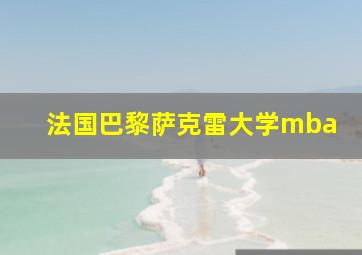 法国巴黎萨克雷大学mba