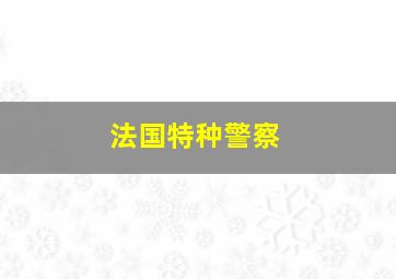 法国特种警察