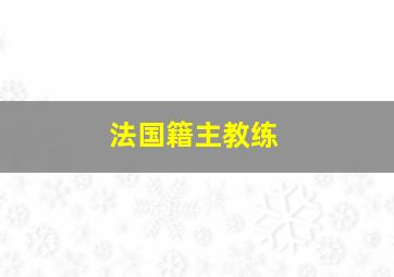 法国籍主教练