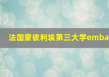 法国蒙彼利埃第三大学emba