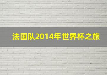 法国队2014年世界杯之旅