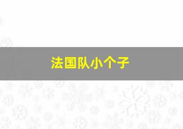 法国队小个子