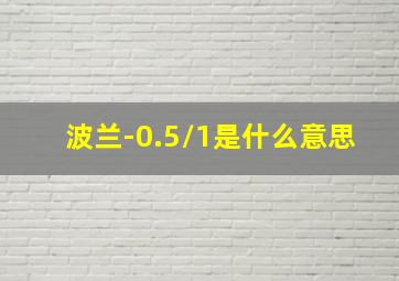 波兰-0.5/1是什么意思