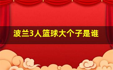 波兰3人篮球大个子是谁