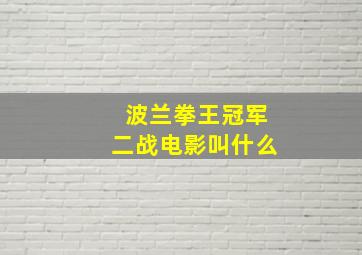 波兰拳王冠军二战电影叫什么