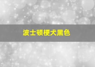 波士顿梗犬黑色