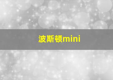 波斯顿mini