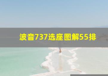 波音737选座图解55排