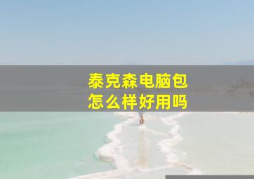 泰克森电脑包怎么样好用吗