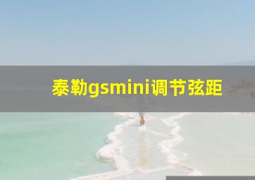 泰勒gsmini调节弦距