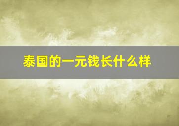 泰国的一元钱长什么样