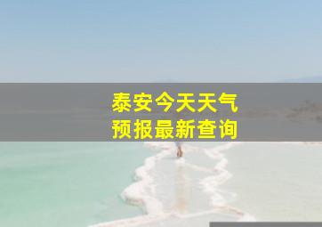 泰安今天天气预报最新查询