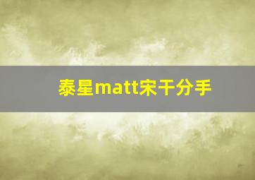 泰星matt宋干分手