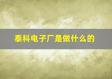 泰科电子厂是做什么的