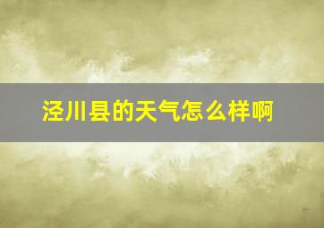 泾川县的天气怎么样啊