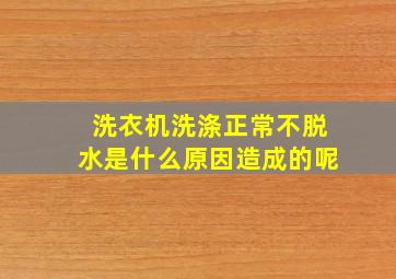 洗衣机洗涤正常不脱水是什么原因造成的呢