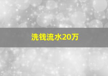 洗钱流水20万