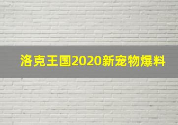 洛克王国2020新宠物爆料