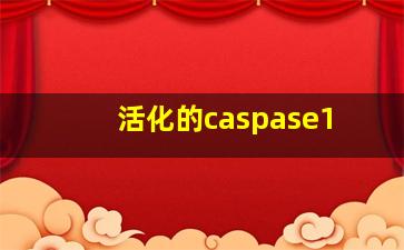 活化的caspase1