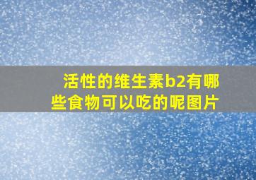 活性的维生素b2有哪些食物可以吃的呢图片