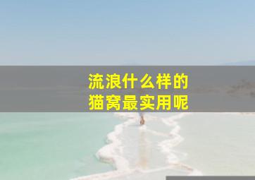 流浪什么样的猫窝最实用呢